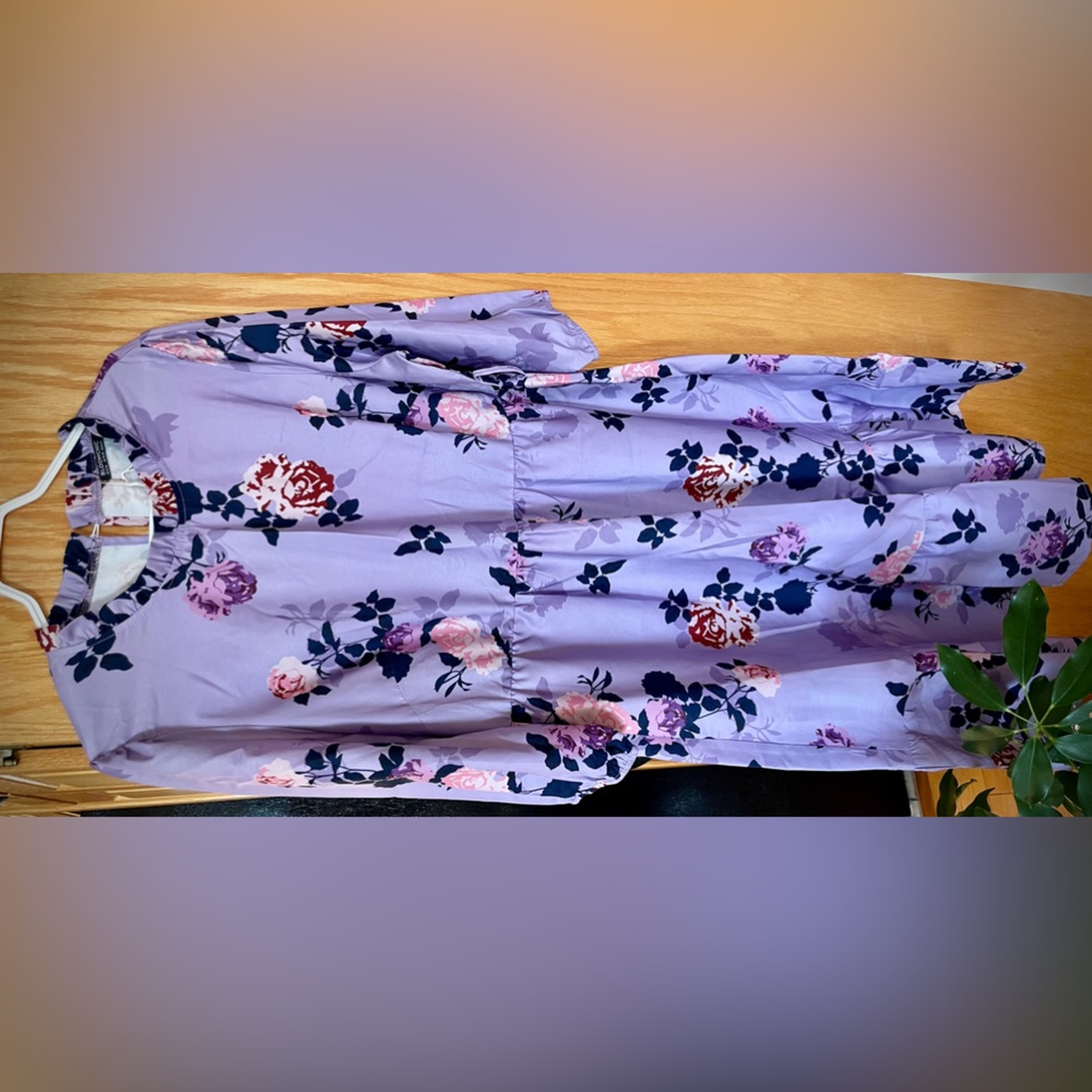 Ladies Dress